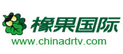 上海橡果网络技术发展有限公司